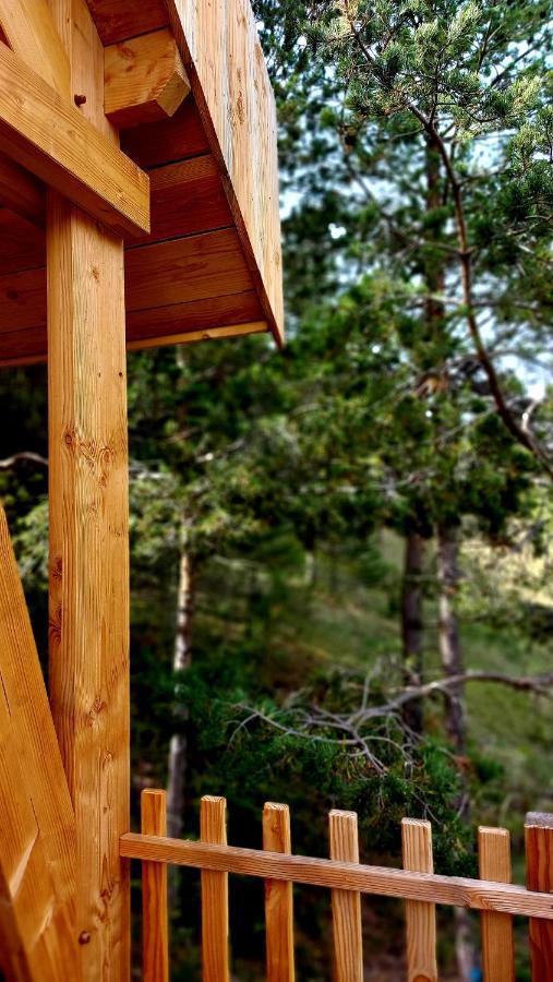 Chalet L'Empreinte Saint-Etienne-de-Tinee Ngoại thất bức ảnh